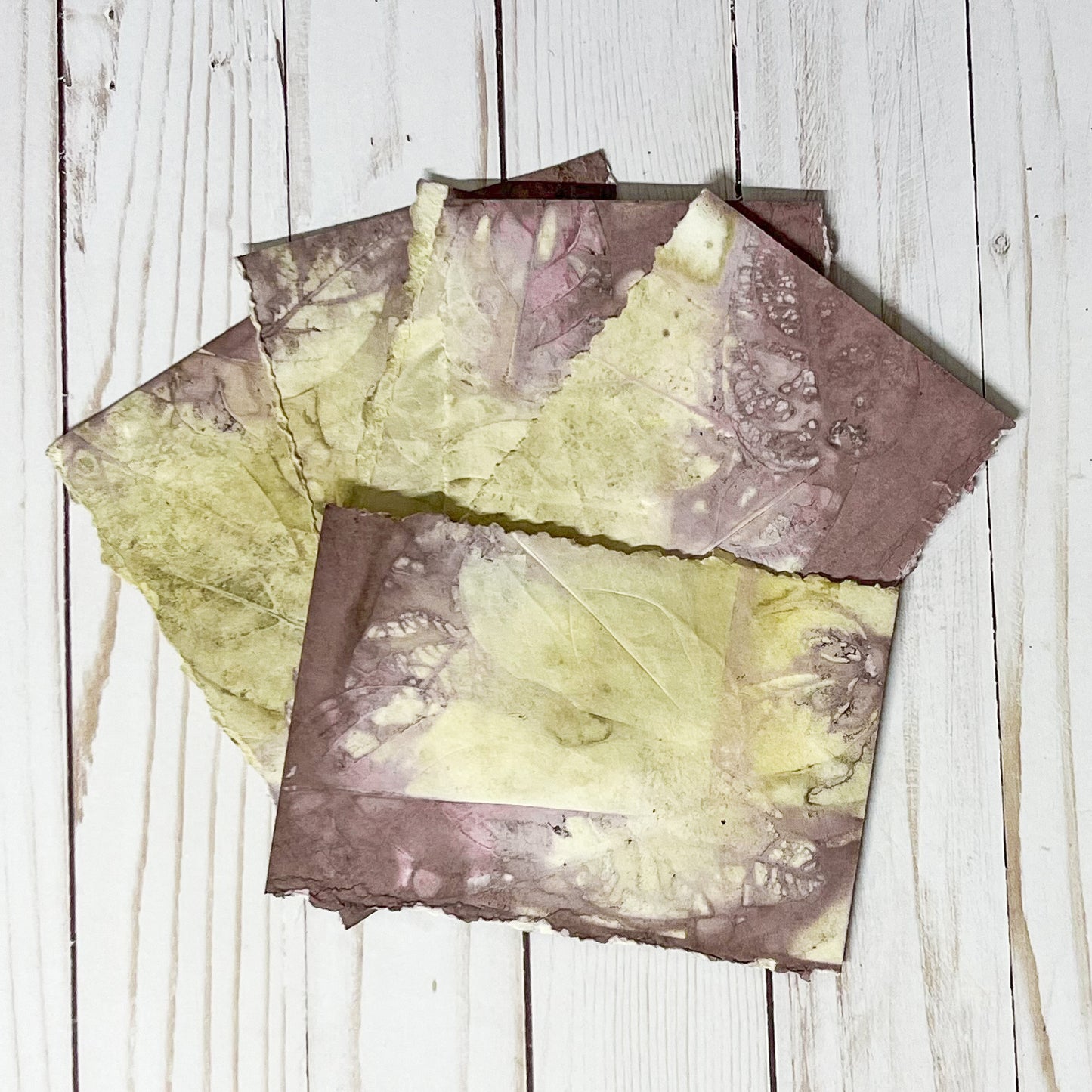 Pecan Leaf Eco-Printed Notecards