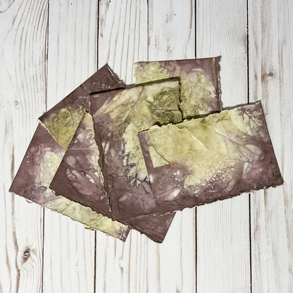 Pecan Leaf Eco-Printed Notecards