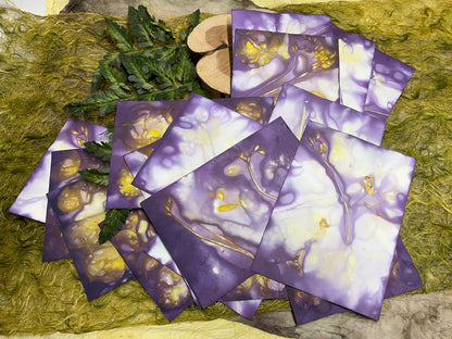 Eco Printed and Hand Dyed Paper Packs | Purple & Gold | Made with Silver Dollar Eucalyptus and Freesia